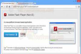 Adobe Flash Player for IE