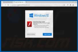 Adobe Flash Player for IE