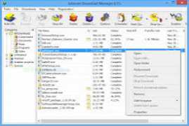 Free Download Manager